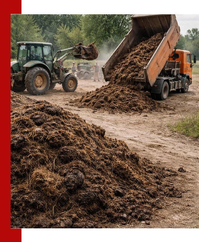 Доставка навоза самосвалами в Ялуторовске для сельхозпотребностей